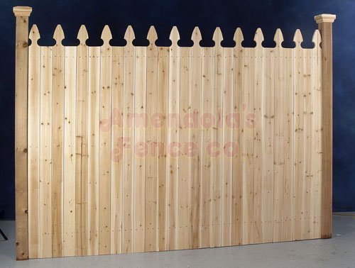 Minnesota Amendolas Fence