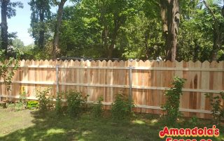 fence