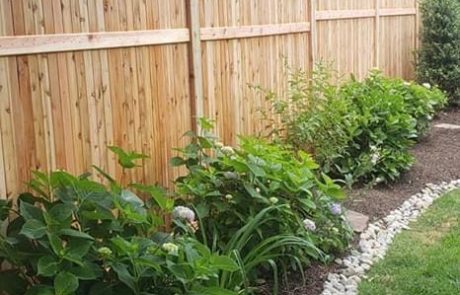 Fence