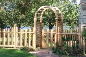 Amendolas Platinum Arbor Wood 3