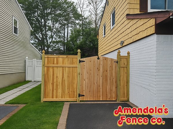 cedar new mexx-600×450