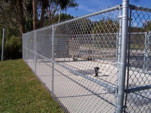 Chain Link Fences